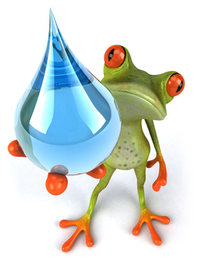 Frosch Reini hält einen großen Wassertropfen in der Hand